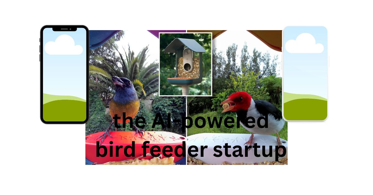 the AI-powered bird feeder